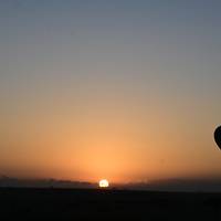 Safari combinado de 15 días en Kenia y Tanzania: foto del viajero #1