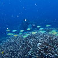 Bali - Wanderlands - 8 dagen: foto van de reiziger #2