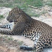 Semi-luxueuze rondreis door Sri Lanka: foto van de reiziger #3