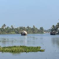10-Day Kerala Cultural and Wellness Tour : Kochi, Munnar, Periyar, Alleppey, Kovalam traveler photo #1