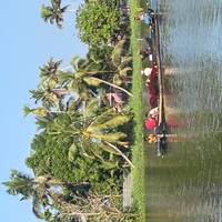 10-Day Kerala Cultural and Wellness Tour : Kochi, Munnar, Periyar, Alleppey, Kovalam traveler photo #2