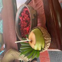 10-Day Kerala Cultural and Wellness Tour : Kochi, Munnar, Periyar, Alleppey, Kovalam traveler photo #3