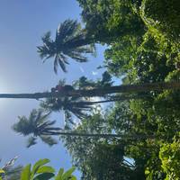 Clásico del Oeste de Filipinas 10 días - One Life Adventures: foto del viajero #2