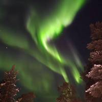 Arctische ervaring LICHT - ALLEEN VOOR VOLWASSEN: foto van de reiziger #1