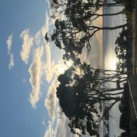 Discovery 6 - Excursión de 6 días por Tasmania con todas las comodidades: foto del viajero #1