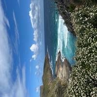 Discovery 6 - Excursión de 6 días por Tasmania con todas las comodidades: foto del viajero #3