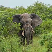 Das Beste aus Südafrika Reise-Foto #1