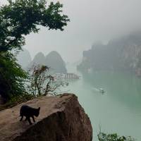 Schätze Südostasiens mit Vietnam, Kambodscha & Thailand 11 Tage Reise-Foto #1