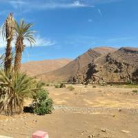 Excursión privada de 4 días por el desierto de Marrakech a Fez, pasando por el Atlas y la Kasbah Ait Benhadda , Ouarzazate , Gargantas del Dades: foto del viajero #1