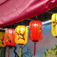 Vietnam und Kambodscha In-Depth in 10 Tagen Reise-Foto #2