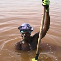 Photo de voyageur Sénégal et Gambie : Une odyssée culturelle et animalière #1