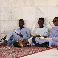 Photo de voyageur Sénégal et Gambie : Une odyssée culturelle et animalière #3