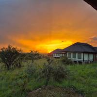 Photo de voyageur Safari classique Big Five en Tanzanie **Approche de voyage durable #2