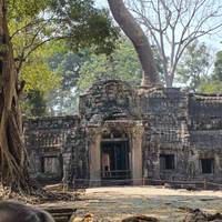 Indochina rondreis met verlenging Bangkok 21 dagen: foto van de reiziger #3