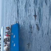 Esplendor de Sri Lanka (7 días) Mejora a Tour Privado Disponible: foto del viajero #1