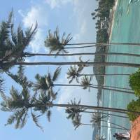 Esplendor de Sri Lanka (7 días) Mejora a Tour Privado Disponible: foto del viajero #3