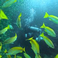 Thai Intro + Dive traveler photo #2