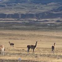 Wunder von Südamerika: Gletscher in Patagonien, Iguazu-Fälle & Rio 18 Tage - Reise-Foto #1