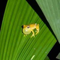 Klassiek Costa Rica: foto van de reiziger #2