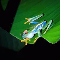 Klassiek Costa Rica: foto van de reiziger #3