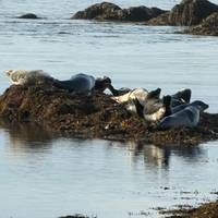 5 Day - Snæfellsnes & South Coast traveler photo #1