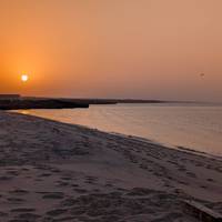 Experience the Magic of Oman traveler photo #2