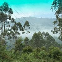 Excursión de 2 días a los gorilas de Uganda vía Kigali: foto del viajero #1