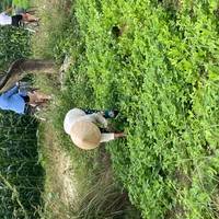 Vietnam Klassiker mit One Life Adventures 12 Tage Reise-Foto #3