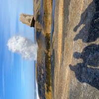 Wildes Tasmanien - 4 Tage Reise-Foto #3