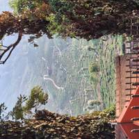 Photo de voyageur Les points forts de l