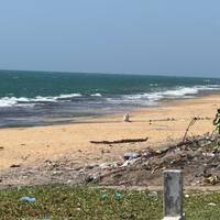El mejor Toque De Sri Lanka: foto del viajero #3