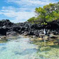 7-daagse onvergetelijke Galapagos eilandhoppen: foto van de reiziger #3