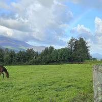 Rincones y recovecos del sur en 10 días - Viaje en autobús en grupo pequeño: foto del viajero #2