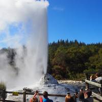 Photo de voyageur Nouvelle- Zélande : Le meilleur de l