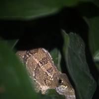 La esencia de Costa Rica - paquete de viaje con el Parque Nacional Manuel Antonio: foto del viajero #1