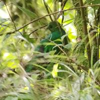La esencia de Costa Rica - paquete de viaje con el Parque Nacional Manuel Antonio: foto del viajero #3