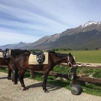 Photo de voyageur Nouvelle- Zélande : L