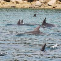Photo de voyageur Nouvelle- Zélande : L