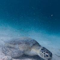 Klassieke reis naar het westen van de Filippijnen – One Life Adventures – 14 dagen: foto van de reiziger #2