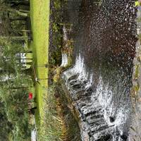 Ervaar de Atlantic Way - een rondreis in kleine groep - 7 dagen: foto van de reiziger #3