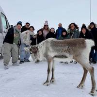 6 días - Carretera de circunvalación de Islandia: foto del viajero #2