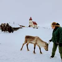 6 días - Carretera de circunvalación de Islandia: foto del viajero #1