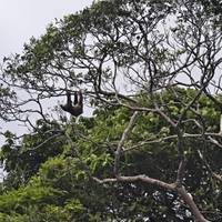 La esencia de Costa Rica -Paquete incluido Guanacaste: foto del viajero #3