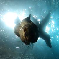 Het beste van Galapagos: foto van de reiziger #1