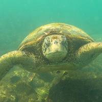 Het beste van Galapagos: foto van de reiziger #2