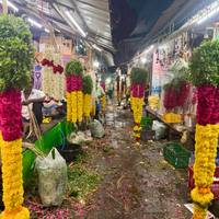 Orgullo del sur de la India: foto del viajero #3