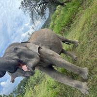 Het beste van Sri Lanka: foto van de reiziger #1