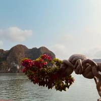 Vietnam Express Südkurs Reise-Foto #2