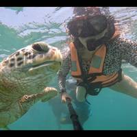Sri Lanka Deluxe Travels traveler photo #3