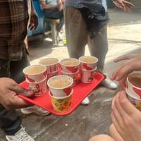 India Snapshot 6 Day - One Life Adventures traveler photo #2